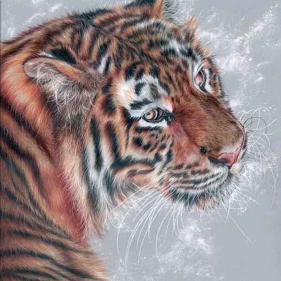 tigerflow